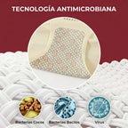 Panties sólidas de cintura alta para mujer antibacterianos de algodón puro