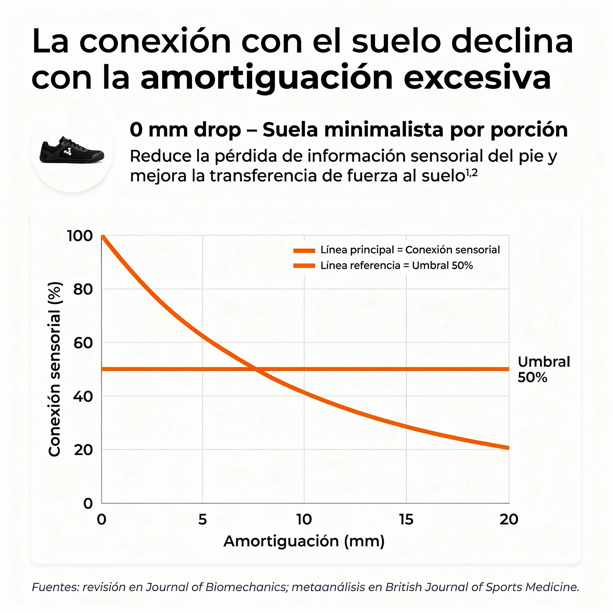 zapatillas ortopedicas Cold Summit Gym